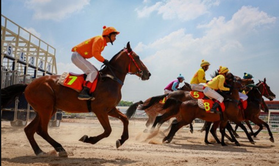 Bí Quyết Thành Công Trong Đua Ngựa SV368