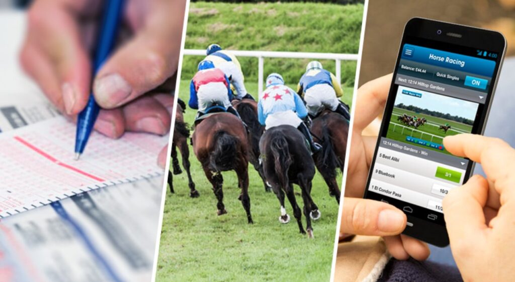 Tìm Hiểu Thế Giới Đua Ngựa SV368: Cuộc Chơi Đầy Hứng Khởi 4 Đua Ngựa SV368